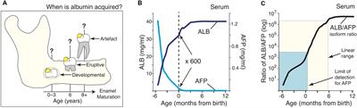 Pathogenesis of Molar Hypomineralisation: Hypomineralised 6-Year Molars Contain Traces of Fetal Serum Albumin